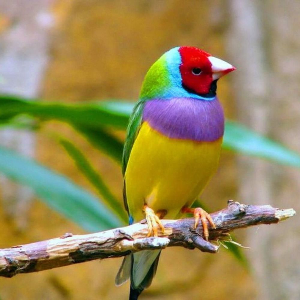 Meet your Posher, Mina